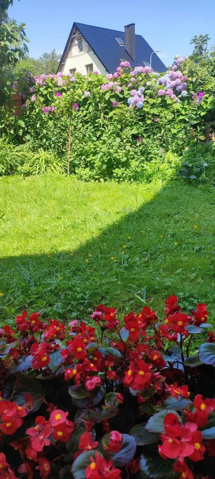 Pokoje Goscinne Anna Ustka Exterior foto